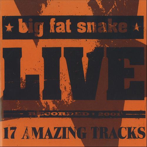 Big Fat Snake - 2001 Live